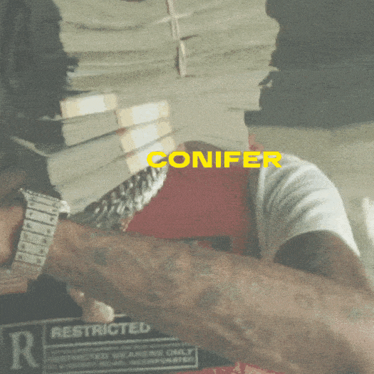 15 Color Grading Cinematic LUTS