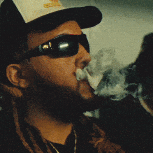 FREE Luma Swipe Transitions Sample Pack